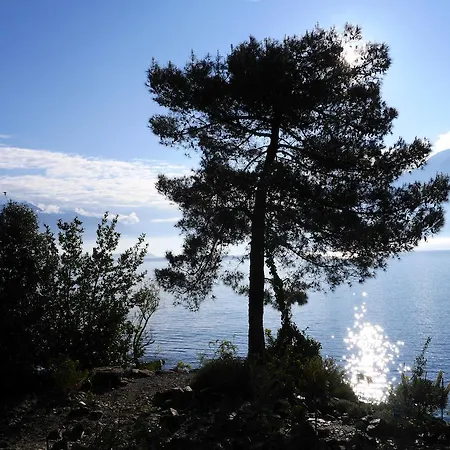 Emden Brissago